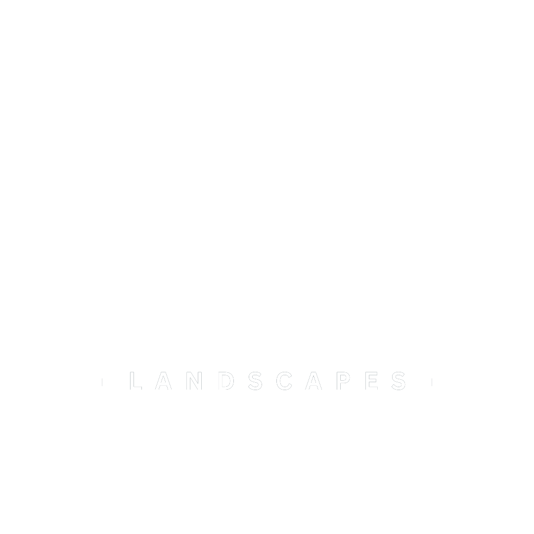 evo whitetransparent